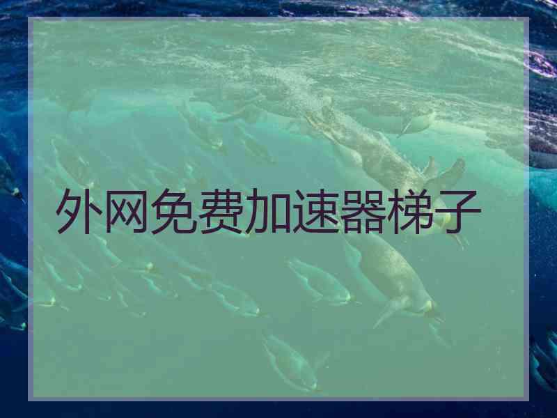 外网免费加速器梯子