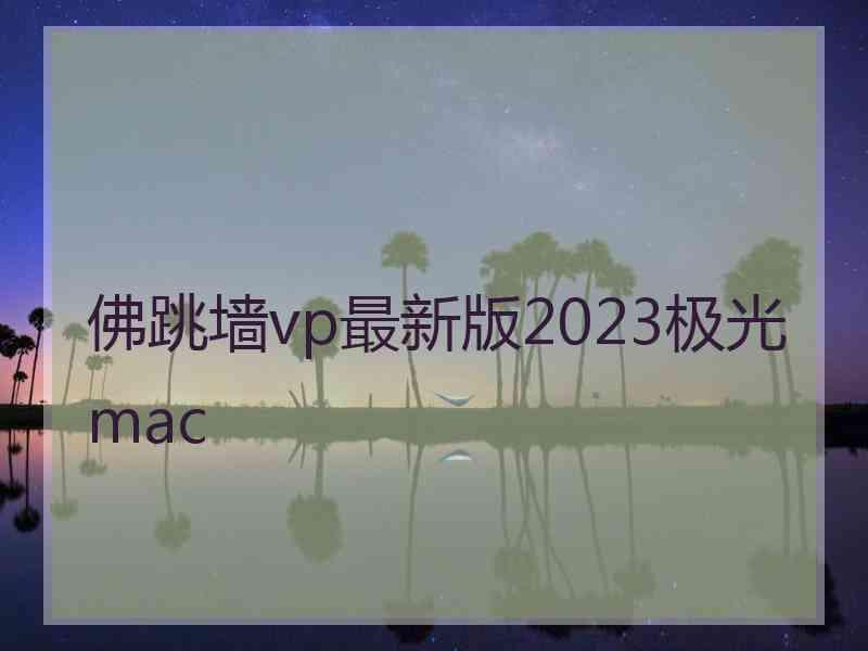 佛跳墙vp最新版2023极光 mac