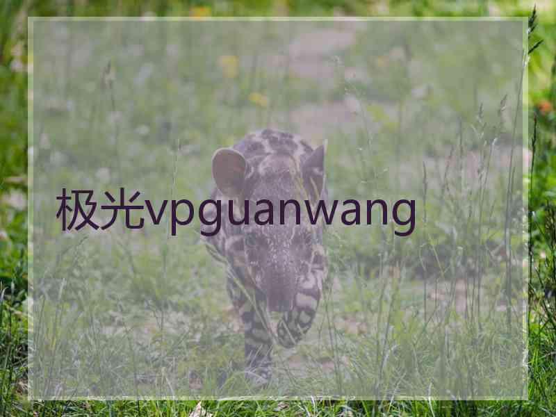 极光vpguanwang