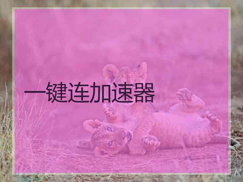 一键连加速器