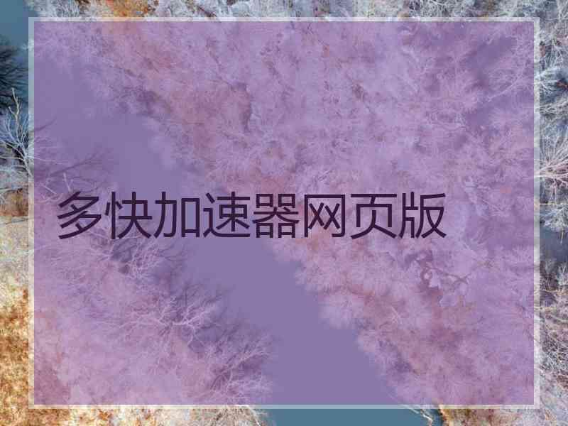 多快加速器网页版