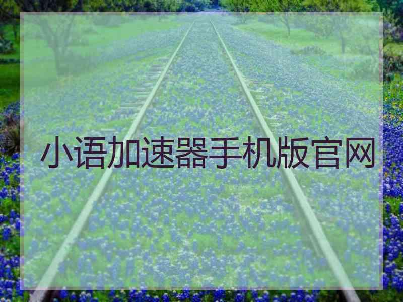 小语加速器手机版官网