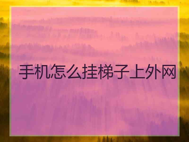 手机怎么挂梯子上外网
