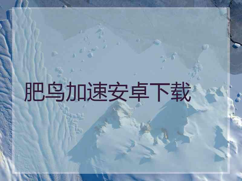 肥鸟加速安卓下载