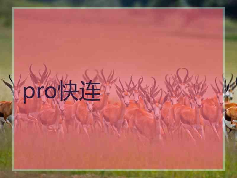 pro快连