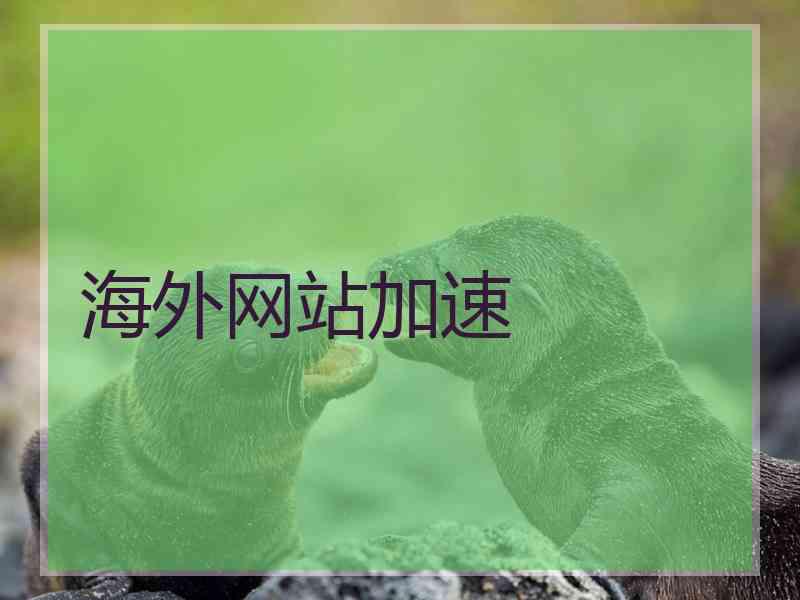 海外网站加速