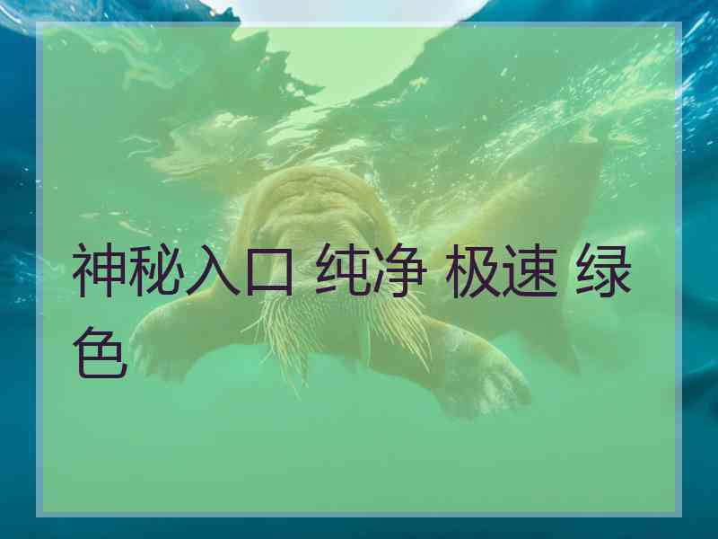 神秘入口 纯净 极速 绿色