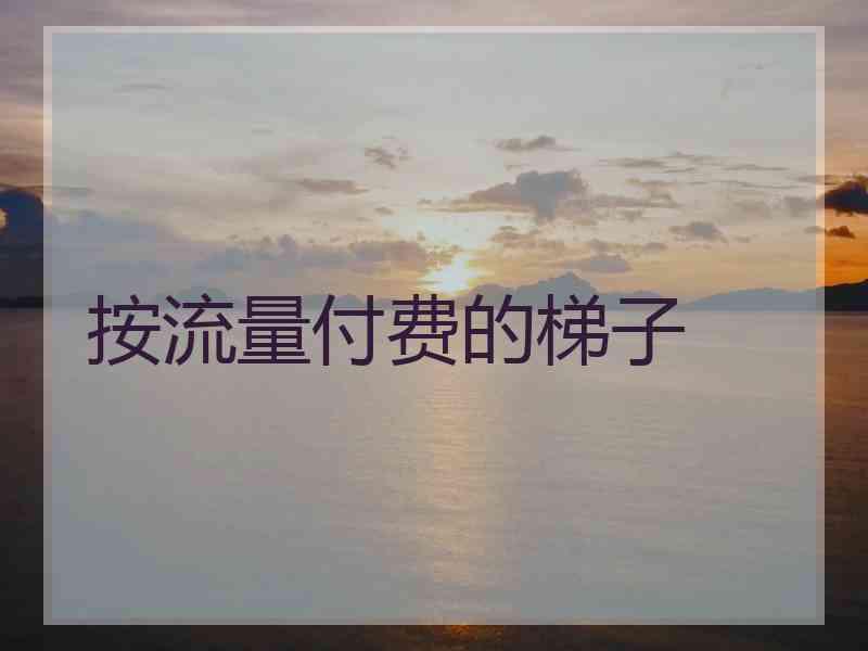 按流量付费的梯子