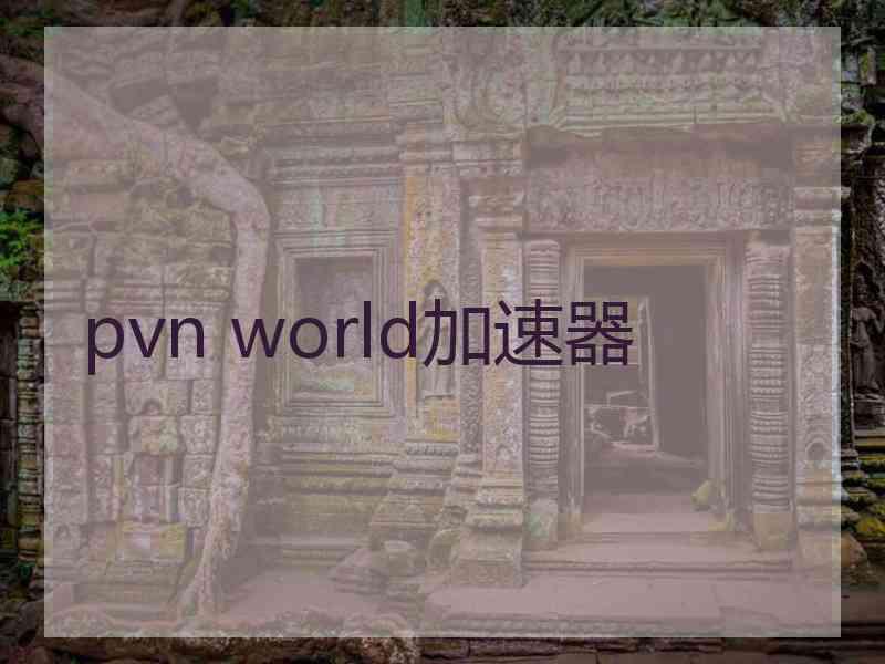 pvn world加速器