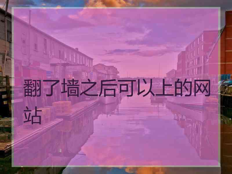 翻了墙之后可以上的网站