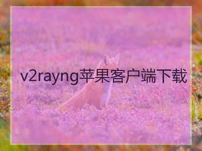 v2rayng苹果客户端下载