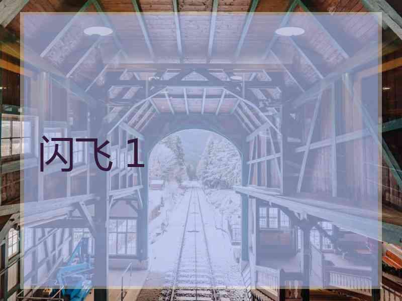 闪飞 1