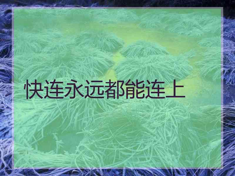 快连永远都能连上
