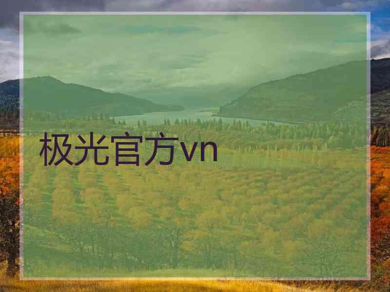 极光官方vn