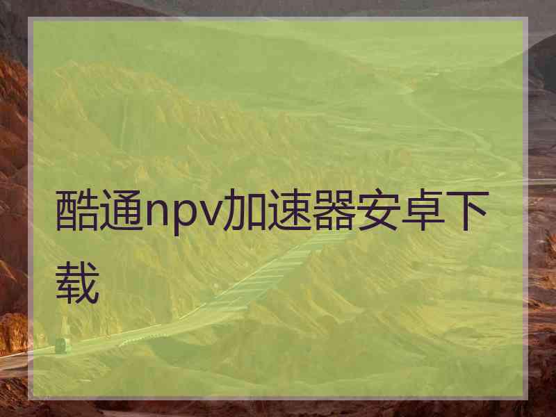 酷通npv加速器安卓下载