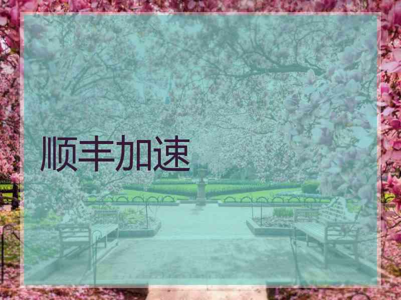 顺丰加速