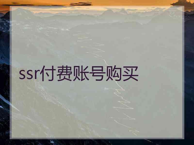 ssr付费账号购买