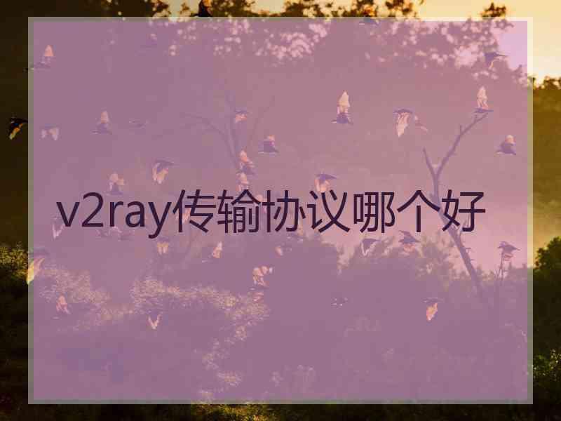 v2ray传输协议哪个好
