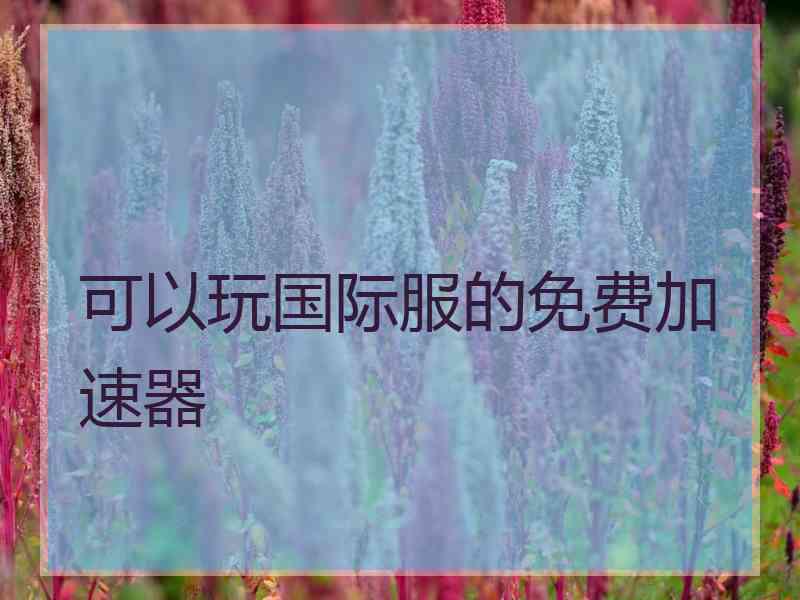 可以玩国际服的免费加速器