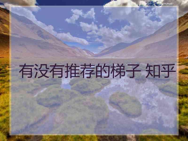 有没有推荐的梯子 知乎