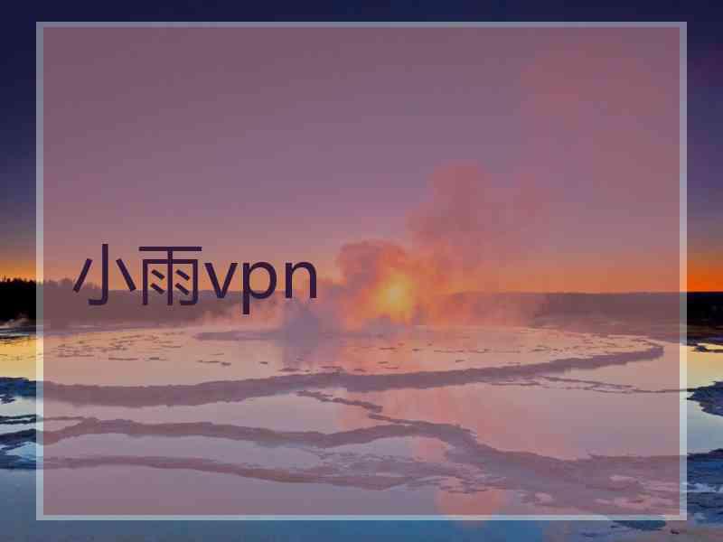 小雨vpn