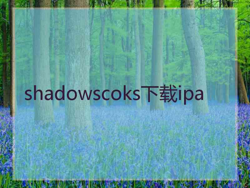 shadowscoks下载ipa