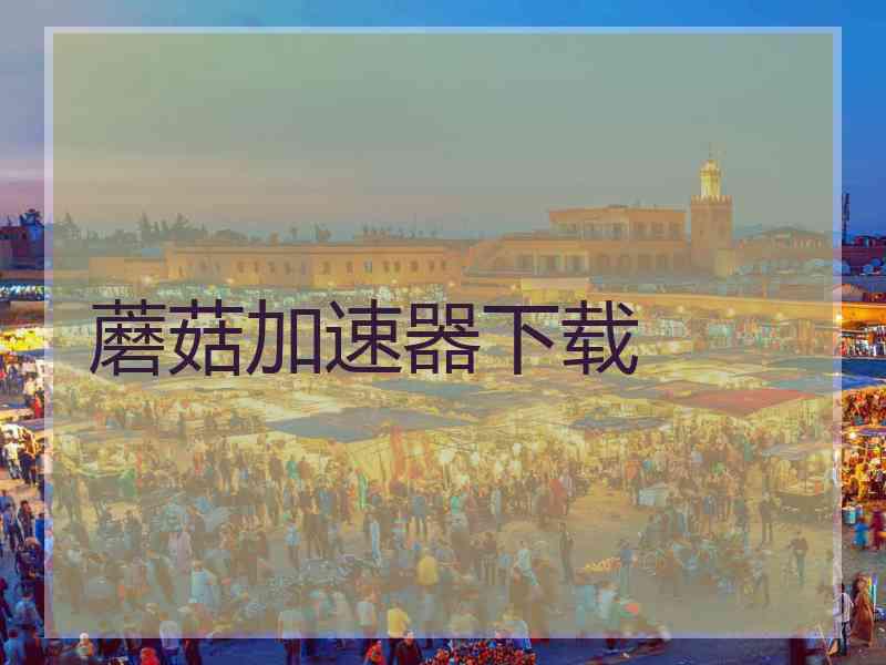 蘑菇加速器下载