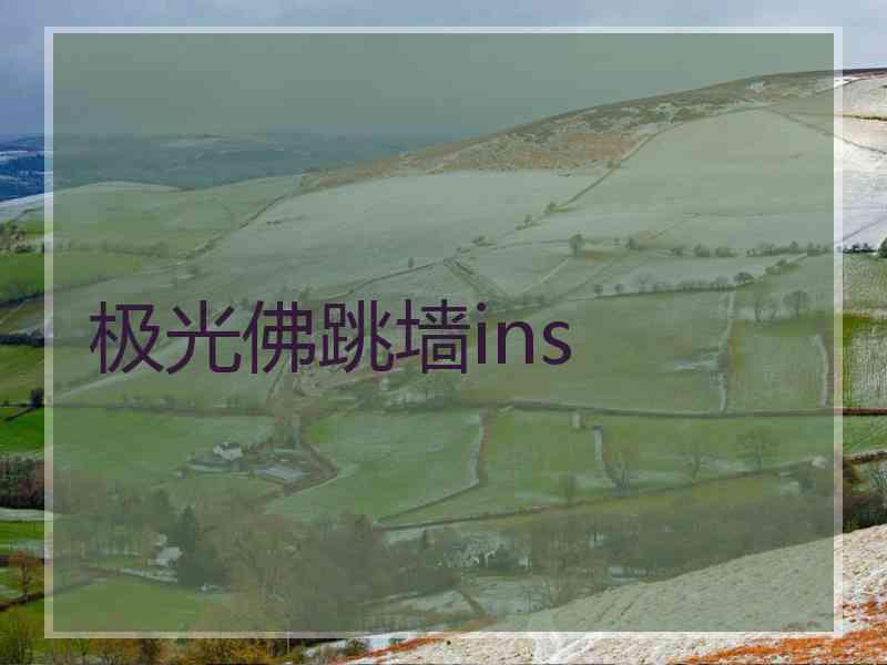 极光佛跳墙ins