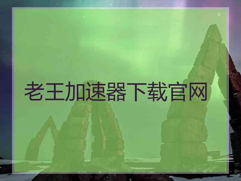老王加速器下载官网