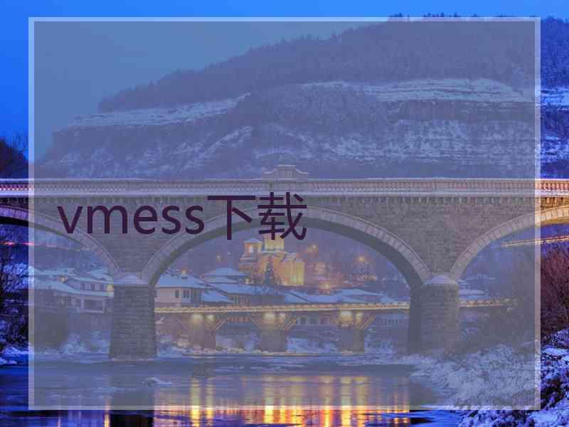 vmess下载