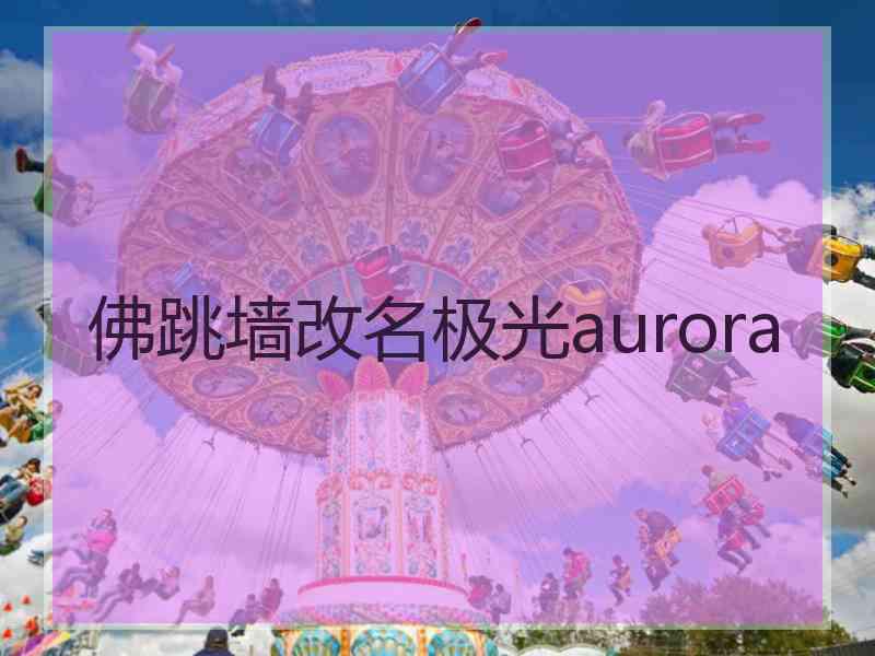 佛跳墙改名极光aurora