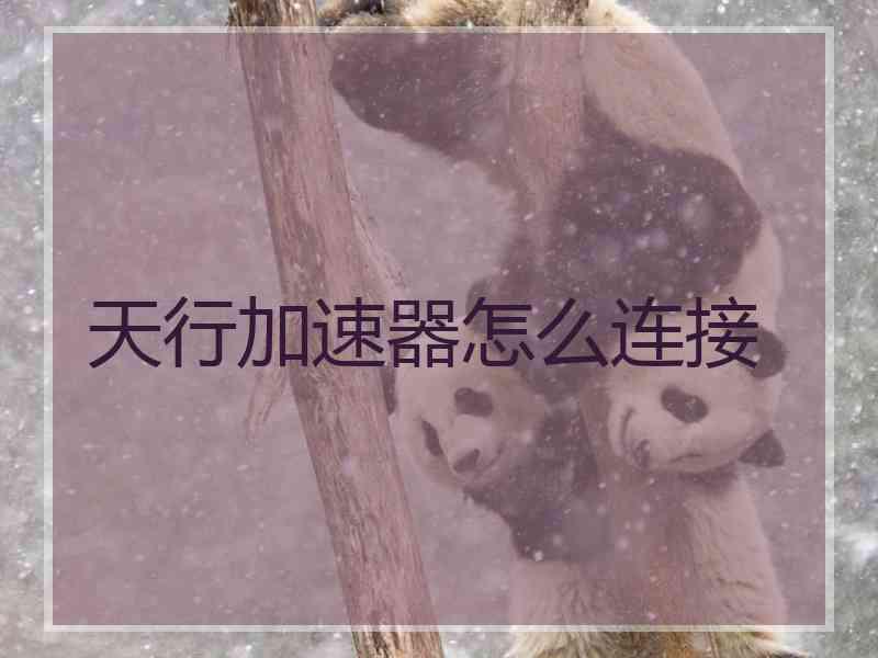 天行加速器怎么连接