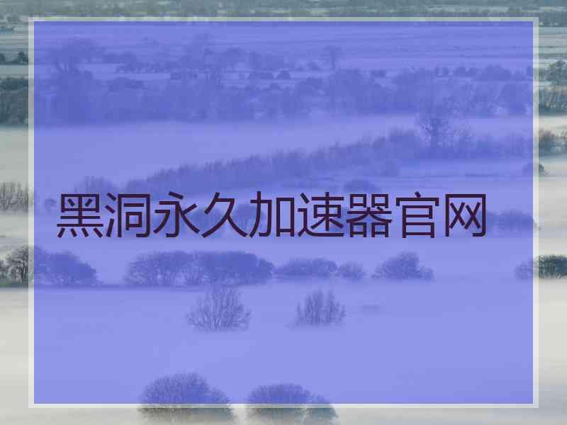 黑洞永久加速器官网