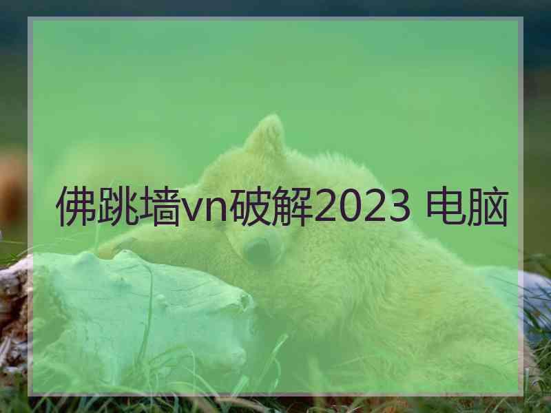 佛跳墙vn破解2023 电脑