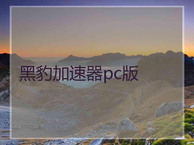 黑豹加速器pc版