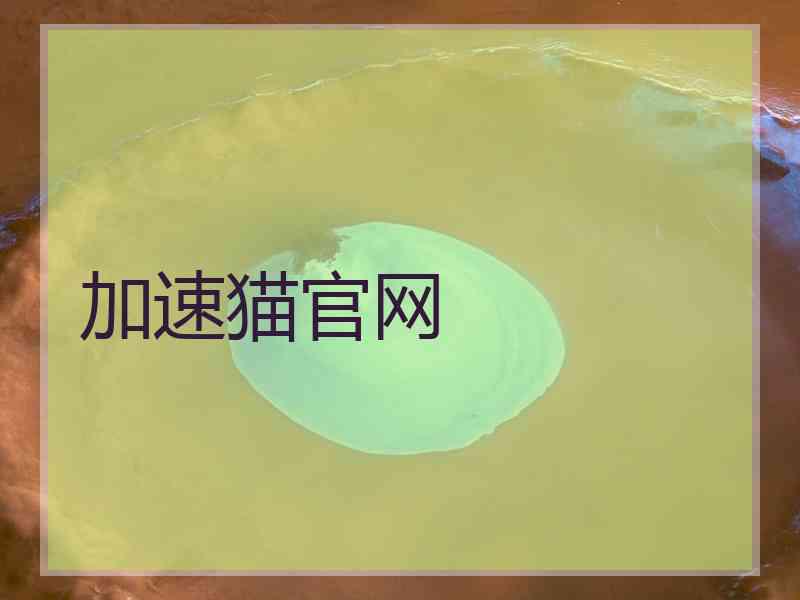 加速猫官网