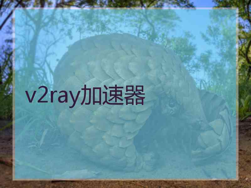 v2ray加速器