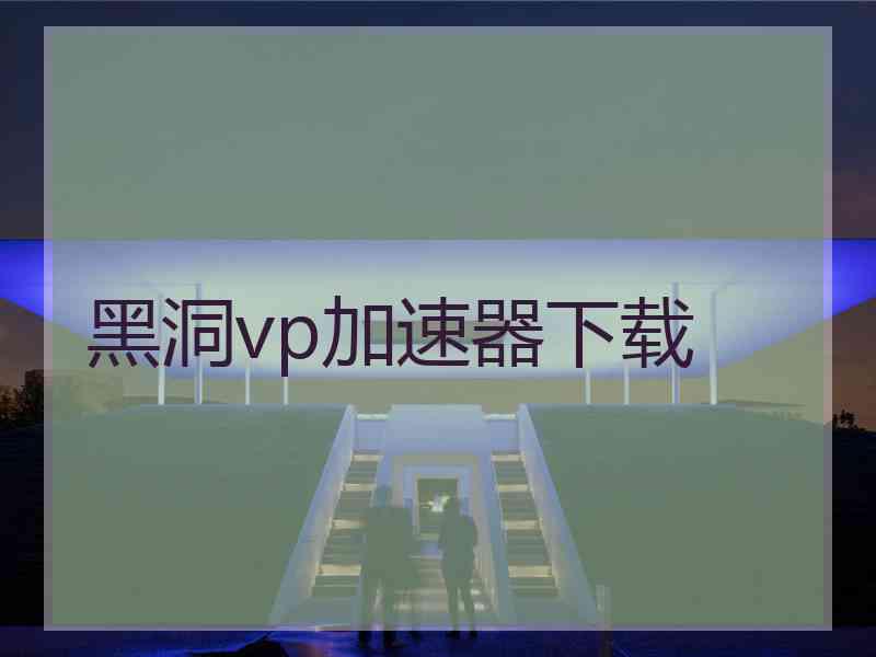 黑洞vp加速器下载