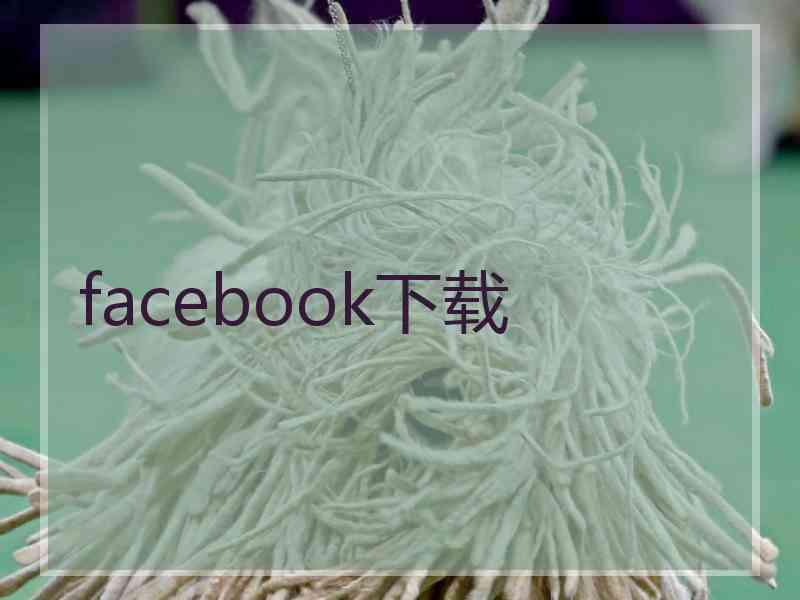 facebook下载