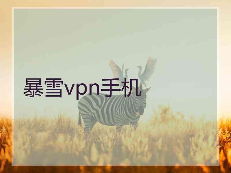 暴雪vpn手机