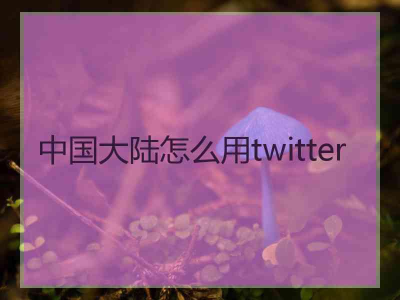 中国大陆怎么用twitter