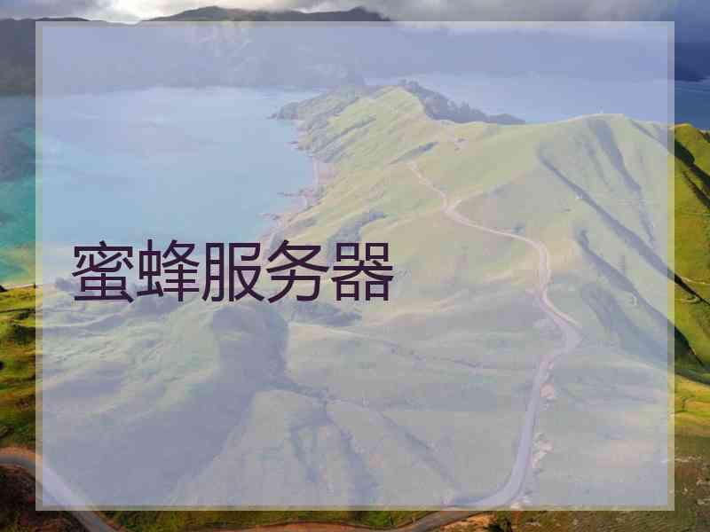 蜜蜂服务器