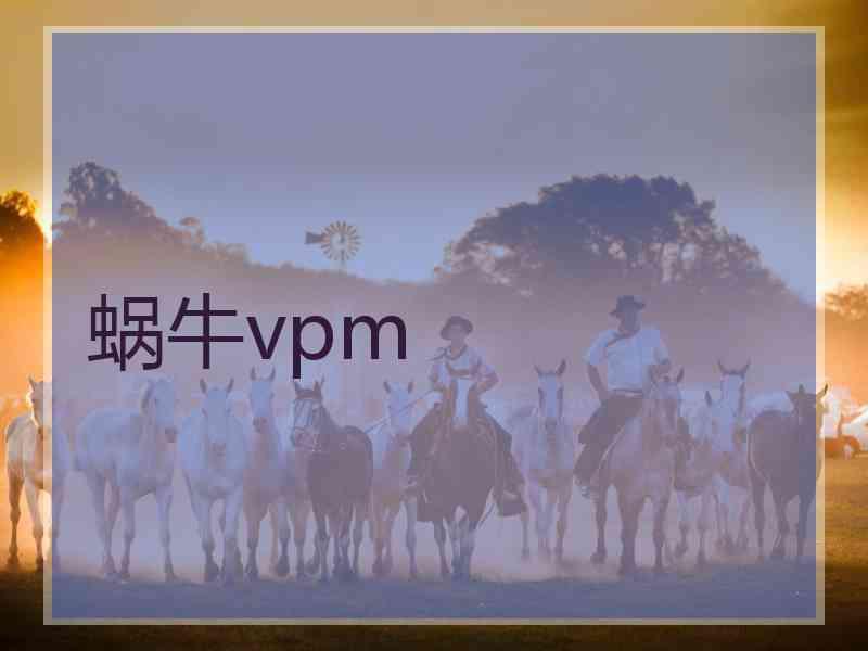 蜗牛vpm