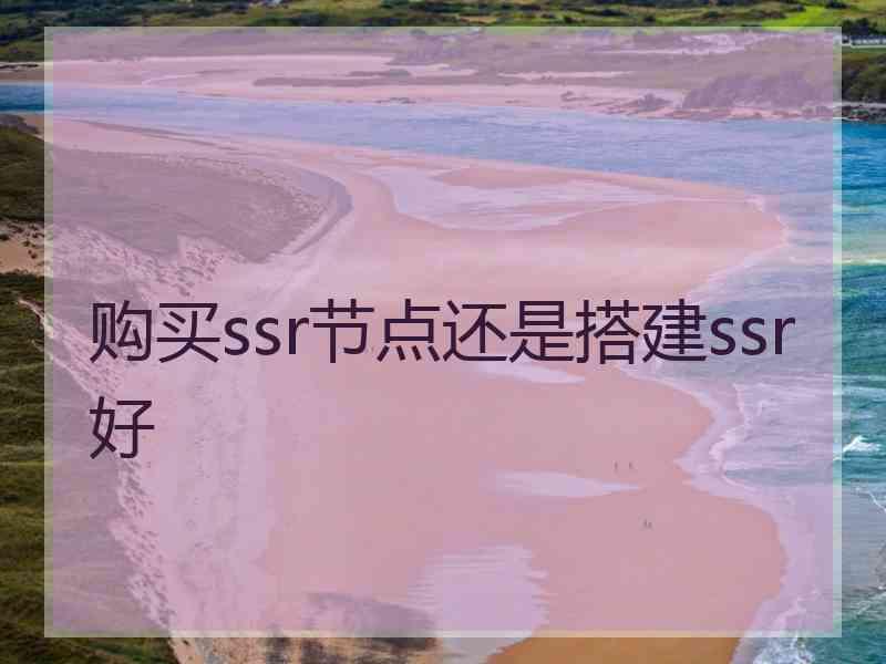 购买ssr节点还是搭建ssr好