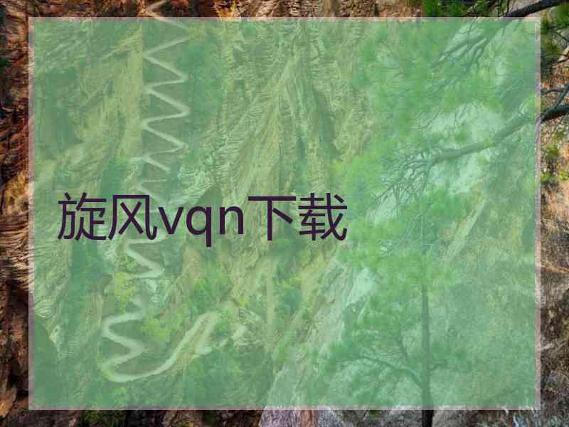 旋风vqn下载