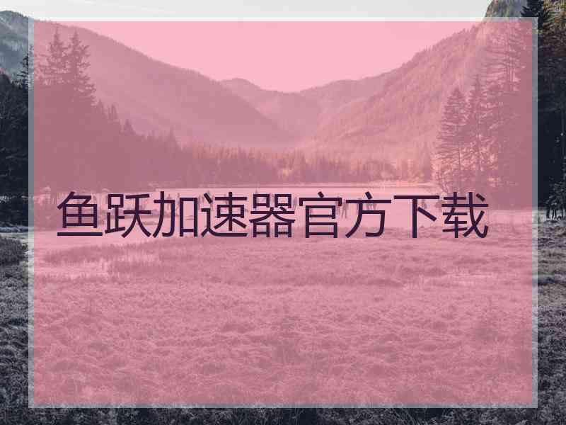鱼跃加速器官方下载