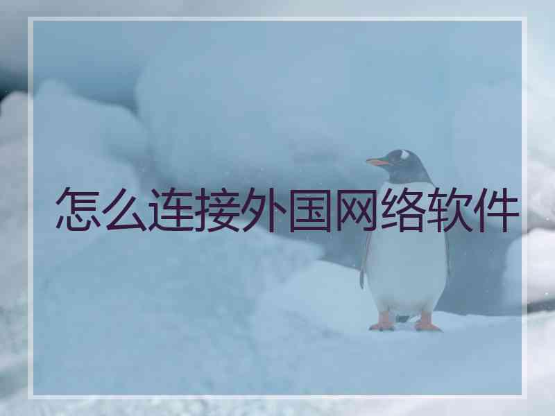 怎么连接外国网络软件