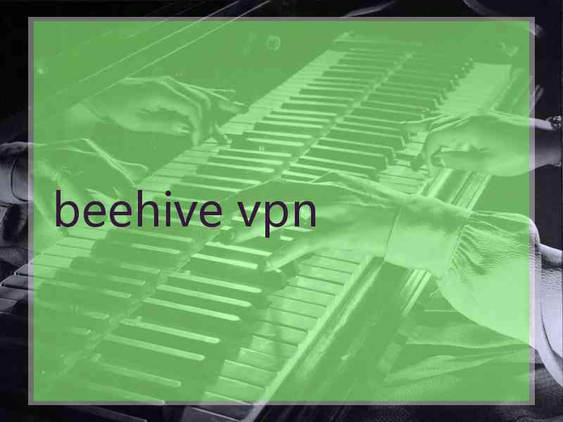 beehive vpn