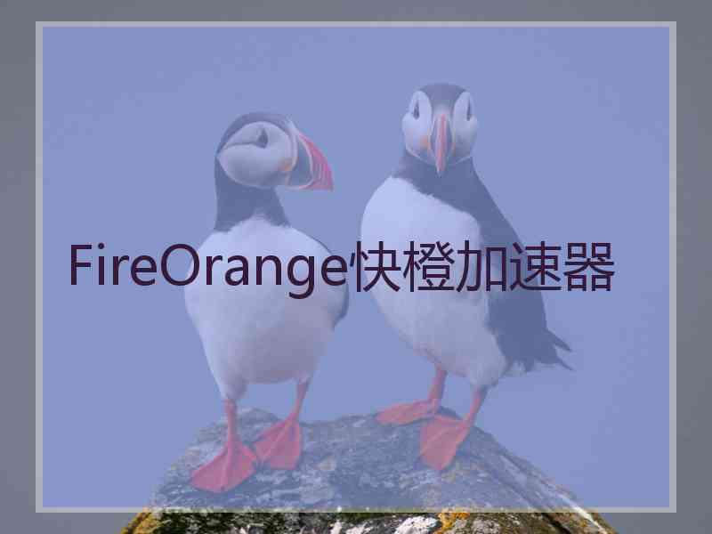 FireOrange快橙加速器