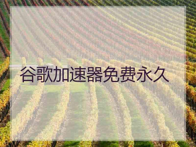 谷歌加速器免费永久